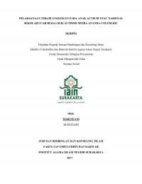 PELAKSANAAN TERAPI SNOEZELEN PADA ANAK AUTIS DI YPAC NASIONAL SEKOLAH LUAR BIASA (SLB) AUTISME MITRA ANANDA COLOMADU